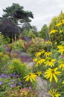 South House Garden featuring Rudbeckia laciniata in foreground, beyond geranium and path with other flowering perennials 