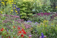 Eupatorium, crocosmia, geranium, helenium, rudbeckia, monarda