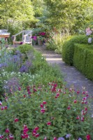 Terrace border with Allium cristophii and Salvias with path leading to seating