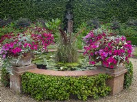 The lily Pond Old Vicarage Garden, East Ruston, Norfolk  Late MayApril