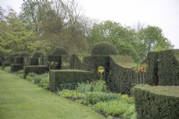 Topiary hedges at Grimsthorpe Castle, April