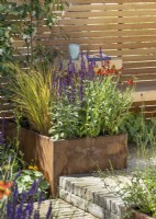 Terrace garden with square plant container next to step, summer July