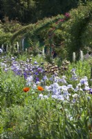 Giverny, France - Monet's Garden - Rose Archways amidst Irises and perennial borders -  May 2023