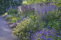 Mixed herbaceous perennials flowering in Summer in a formal country garden border - July