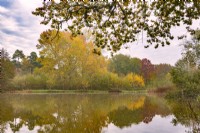 View across a lake to mixed trees in Autumn colour in an informal country garden - November