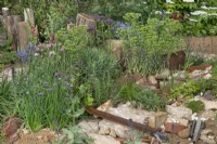 The Wildlife Trusts: Wilder Spaces garden at RHS Malvern Spring Festival 2023