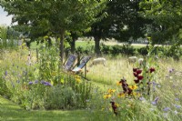 Gladiolus, Verbena, Rudbeckia in wild flower border near tea garden deck chairs and sheeps.