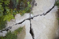 Cracked pathway made from demolition waste materials.