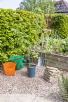 Hazel 'Webs Prize Cob', compost, water, watering can, spade, fork and small stone tiles laid out on the ground