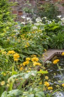Small rectangular brick lined pool with and yellow and white planting scheme - Geums; Hostas; Astrantia and roses
