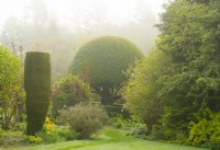 A dome shaped Prunus lusitanica - Portuguese Laurel and Taxus bacccata topiary with wire supports surrounded by herbaceous borders in the Golden Garden in the Crathes Castle Walled Garden.