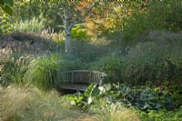 A wooden bench surrounded by ornamental grasses and seedheads
