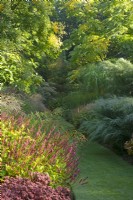 Mixed perennial borders line the lawned path of 'The Long Walk' at Knoll Gardens in Dorset