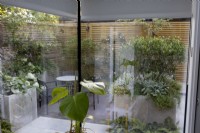 View through floor-to-ceiling windows of a modern garden with a patio, boundary fencing and raised beds planted with perennials.
