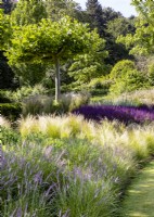 Garden design with ornamental grasses and perennials, summer August