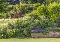 Perennial border beside a retaining wall, summer August