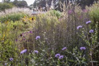 Prairie style border with grasses and perennials in display garden.  Plants inc: Asters and seedbeds