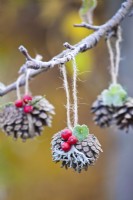 Pine cones decorated wuth Cotoneaster berries and lichens.