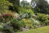 Mixed border at Moor Wood, Gloucestershire with rambling roses and Cotswold stone retaining wall.