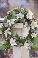 Wreath with mistletoe, Christmas rose, lichens and pine twigs.