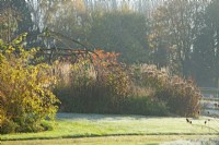 Rustic coppiced ash gazebo surrounded by Eupatorium maculatum 'Atropurpureum seedheads and ornamental grasses in winter