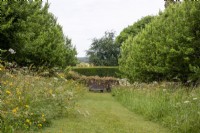 View down mown path in wild flower meadow at Moor Wood, Gloucestershire