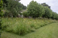 Wild flower meadow and mown path at Moor Wood, Gloucestershire.