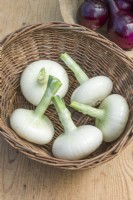 Onion 'Borettana'. Harvested bulbs in a wicker basket. August.