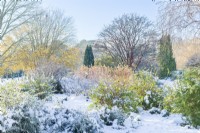 Winter Garden after snow. Cambridge Botanic Gardens. December.