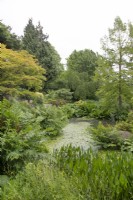 The pond at Birmingham Botanical Gardens and Glasshouses