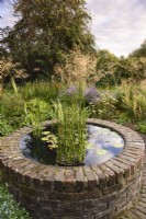 Raised circular pond with Equisetum hyemale in September