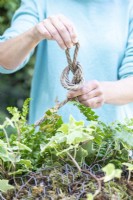 Woman tying knot in rope on compost sieve