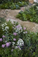 The London Square Community Garden. Design: James Smith Sanctuary Garden: RHS Chelsea Flower Show 2023. Natural stone and gravel pathway through borders.