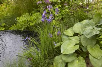 The Boodles British Craft Garden. Designer: Thomas Hoblyn. Chelsea Flower Show 2023. Woodland garden with pond. Hostas, grasses and Iris Setosa 'Arctica'. Summer.