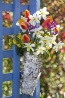 A bouquet consisting of tulips, daffodils, mahonia and honesty in a vase wrapped in birch bark.