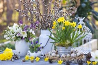Early spring arrangement with Narcissus 'Tete a Tete' in metal container,  a bird cage, wreath with snail shells, pussy willow, viola and bouquet of spring flowers in a vase.