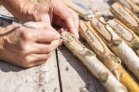 Woman writing herb names on the carved wooden plant lables