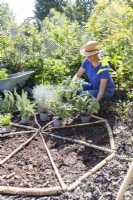 Woman laying out herbs in the different sections of the wheel