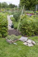 Thyme, stone pavers, trowel, rake and a knife laid out in the ground