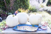 White Pumpkins, pressed flowers, glue and brushes laid out on the table