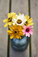 Zinnia Molino mixed posy in a vase