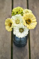 Zinnia Pale Zinnia Mix posy in a vase