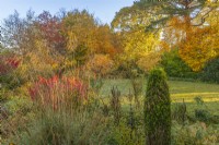 View of deciduous trees and shrubs in an informal country cottage garden in Autumn - November