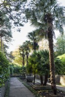 The Palm Court at Compton Acres, Dorset in November
