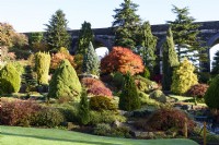 Rock garden of conifers and maples at Kilver Court, Somerset in November