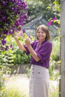 Woman inspecting Clematis flowers