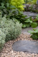 Thymus 'Silver Posie' and ajuga alongside a stepping stone path infilled with gravel - Kitchen Garden Plant Centre - RHS Chelsea Flower Show 2023