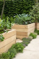 Wooden raised beds filled with vegetables with a herb-edged path on The London Square Community Garden - Sanctuary Gardens - Designer James Smith - RHS Chelsea Flower Show 2023