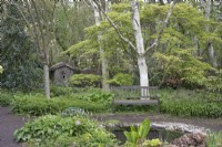 Woodland garden with pond at Barnsdale Gardens, April