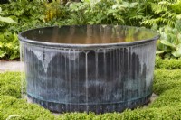 Metal water feature with Selaginella kraussiana growing around it on the Myeloma UK - A Life Worth Living Garden designed by Chris Beardshaw - RHS Chelsea Flower Show 2023